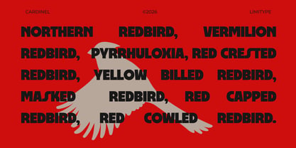 Cardinel Display Font Poster 6