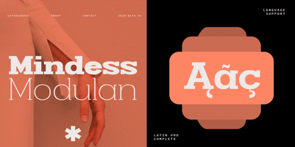 Smilant Font Poster 9