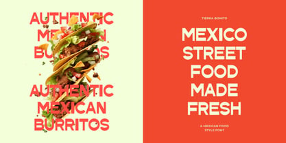 Tierra Bonito Font Poster 3