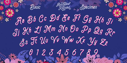 Aesthelina Font Poster 7