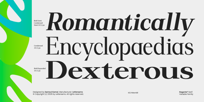 Regante Font Poster 6