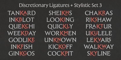Raxmus Font Poster 13