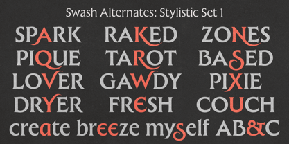 Raxmus Font Poster 11