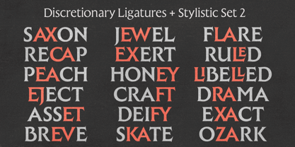 Raxmus Font Poster 12