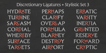 Raxmus Font Poster 14