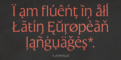 Raxmus Font Poster 9