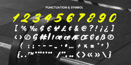 Brushed Font Poster 12