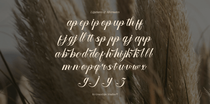 Larfioda Font Poster 12