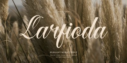 Larfioda Font Poster 1
