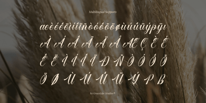 Larfioda Font Poster 11