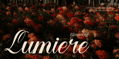 Larfioda Font Poster 5