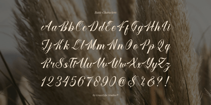 Larfioda Font Poster 10