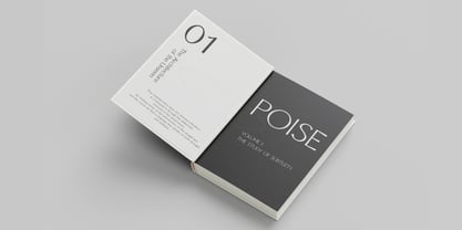 Senren Font Poster 4