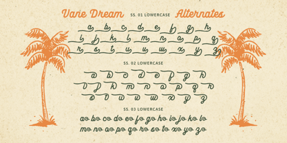 Vane Dream Font Poster 10