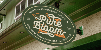Vane Dream Font Poster 12