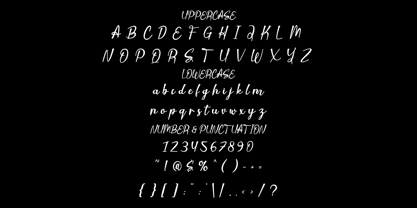 Serenive Font Poster 5