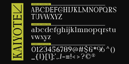 Kaiyote Font Poster 9