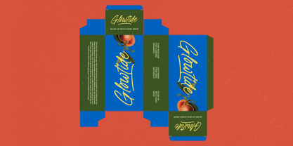 Distyan Stovilky Font Poster 4