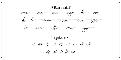 Anicha Script Font Poster 8