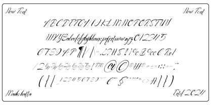 Anicha Script Font Poster 6