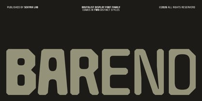 Barend Font Poster 1