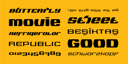 Logopedia Now Rounded Font Poster 9