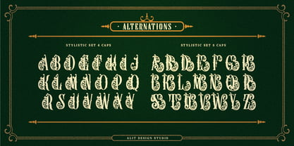 Back Honey Font Poster 12