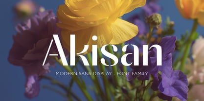 Akisan Font Poster 1