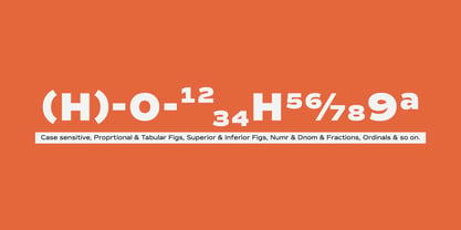 Commuters Sans Font Poster 7