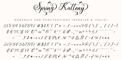 Spring Katteny Font Poster 10