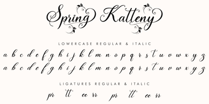 Spring Katteny Font Poster 8