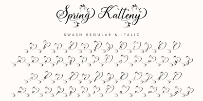 Spring Katteny Font Poster 9