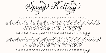 Spring Katteny Font Poster 11