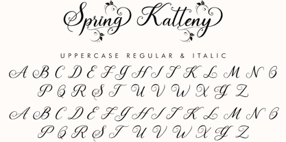Spring Katteny Font Poster 7