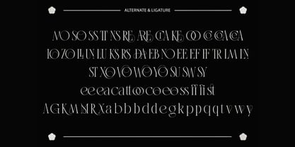 Aestica Font Poster 3