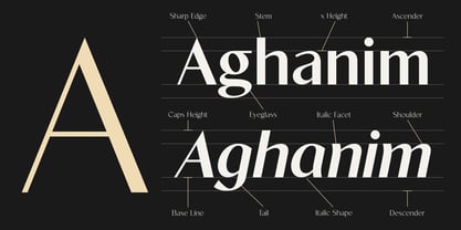 Existo Font Poster 12