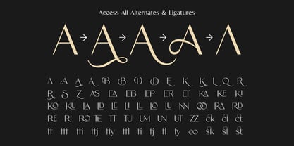 Existo Font Poster 13