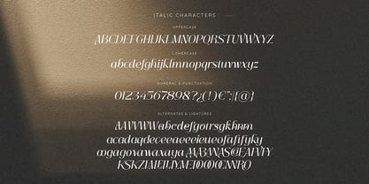 Insta Avant Font Poster 11