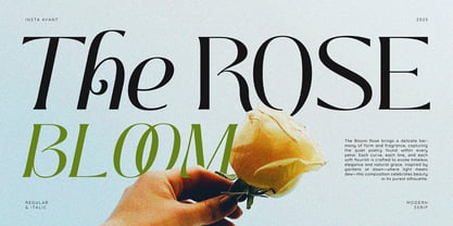 Insta Avant Font Poster 2