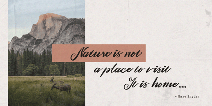 Romane Font Poster 5