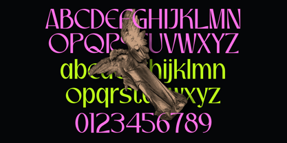 Losera Font Poster 4
