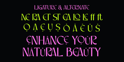 Losera Font Poster 7