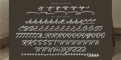 Lindgre Font Poster 14