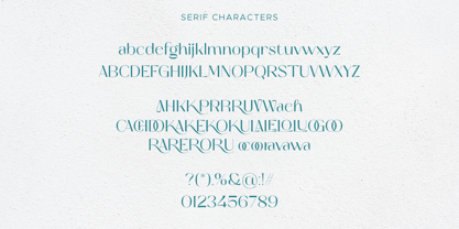 Makola Belvare Font Duo Font Poster 10