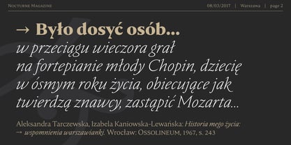 Nocturne Serif Font Poster 2