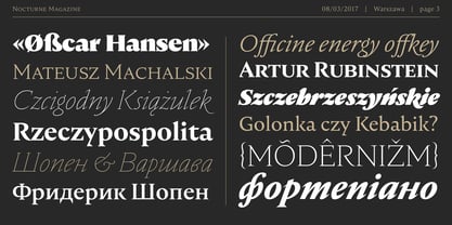 Nocturne Serif Font Poster 3