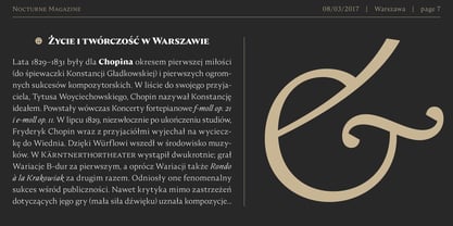 Nocturne Serif Font Poster 7