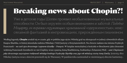 Nocturne Serif Font Poster 4