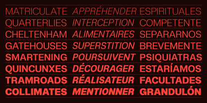 Nomina Font Poster 6