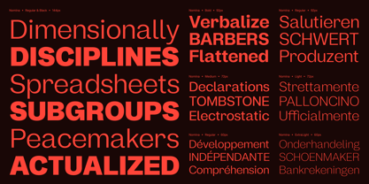 Nomina Font Poster 4